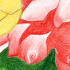 Blossom